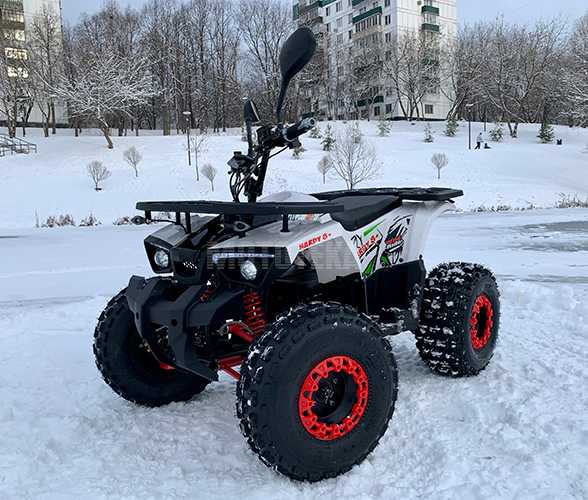 Электроквадроцикл детский MOWGLI (Маугли) E - HARDY 8+ 1000W (машинокомплект) Электроквадроцикл детский MOWGLI (Маугли) E - HARDY 8+ 1000W (машинокомплект)